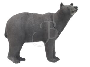 baer01